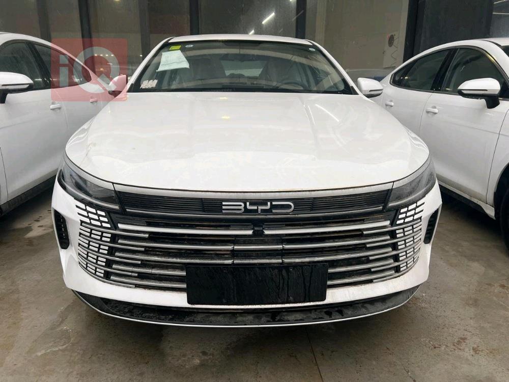 بي واي دي ديستروير 05